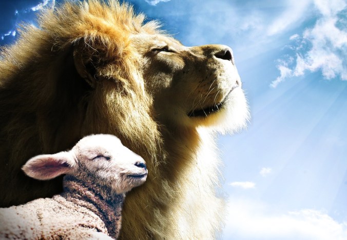 Lion-Lamb