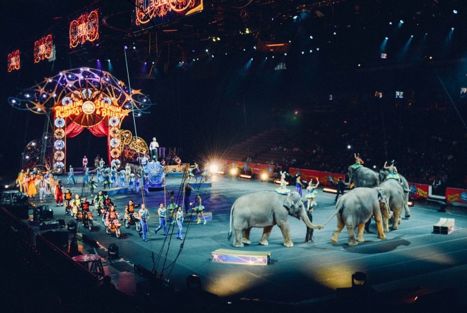 Circus